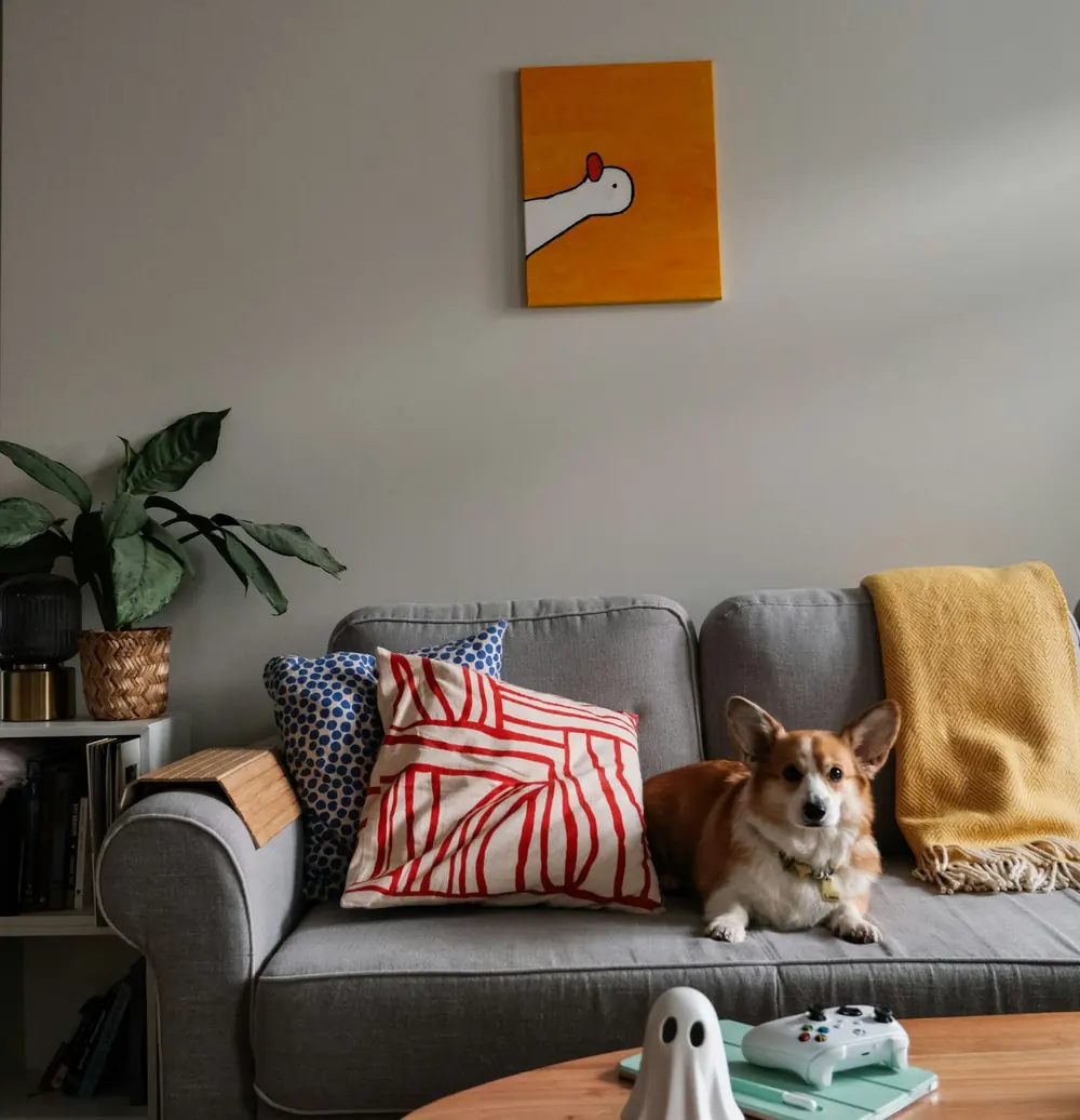 A cosy living room with a sofa, a dog and a yellow blanket, a home that is finally lived in